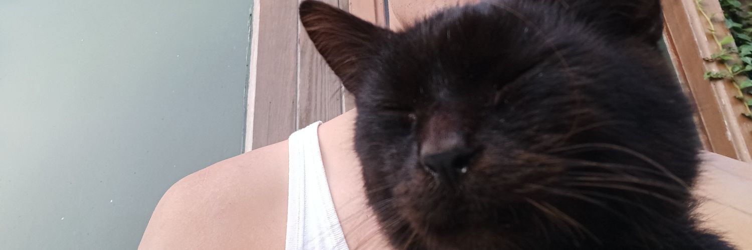 Sofian Daoudi 🇵🇸 banner