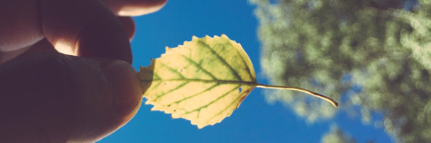 ジョニー・デブ banner