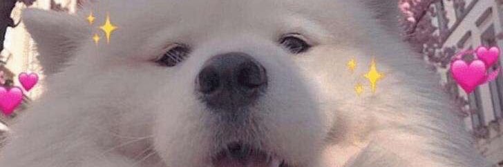 WChandlerStew99's profile banner image