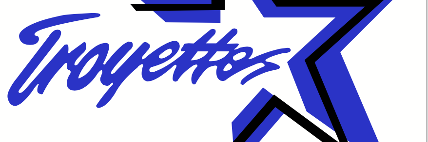 swtroyettes's profile banner image