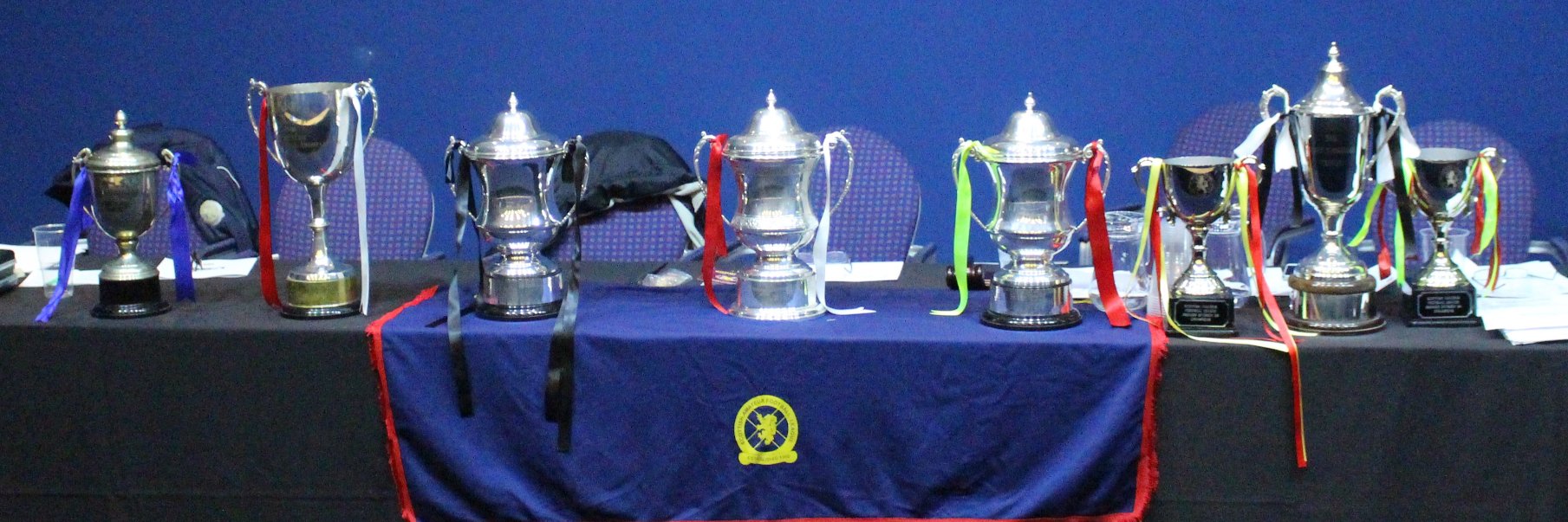 SAFL Official banner