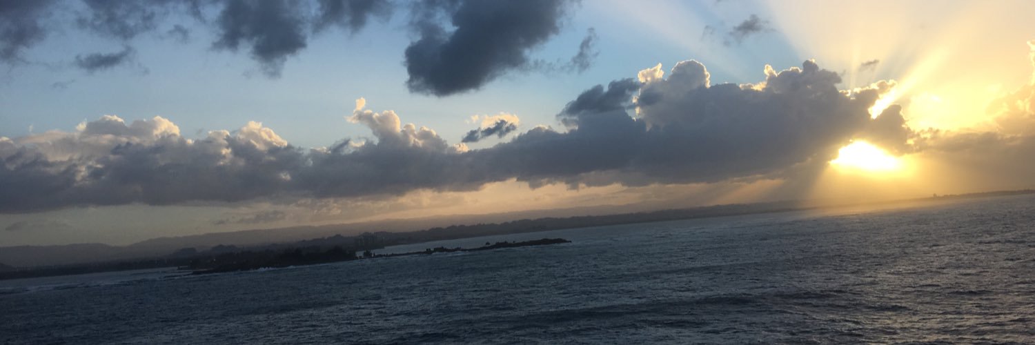 Allisonrgibb's profile banner image