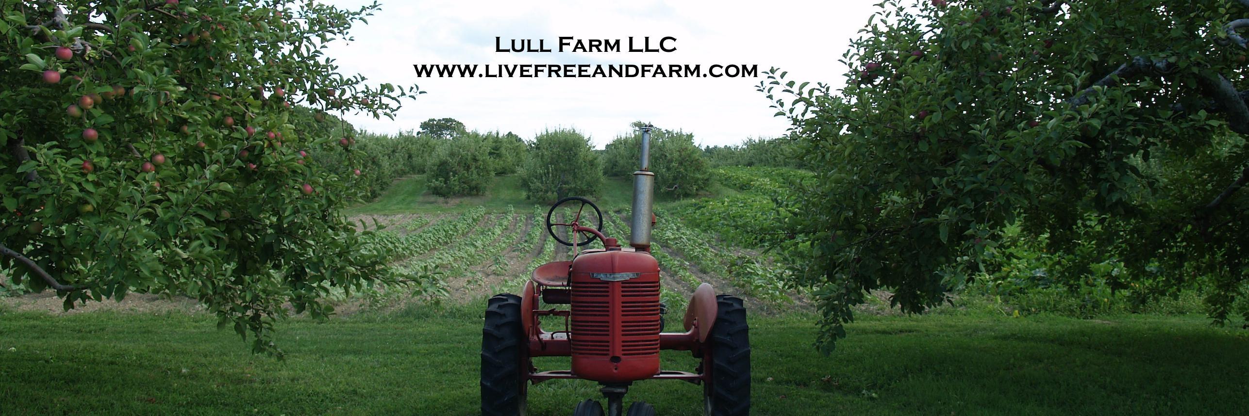 LullFarm's profile banner image