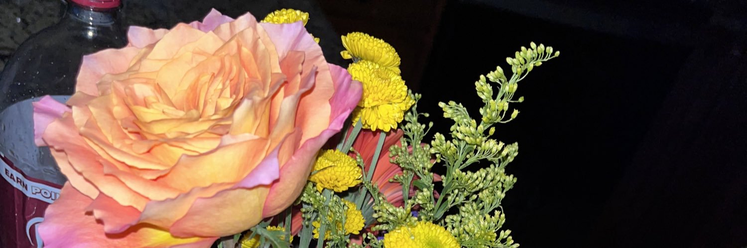 HeatherTinn11's profile banner image