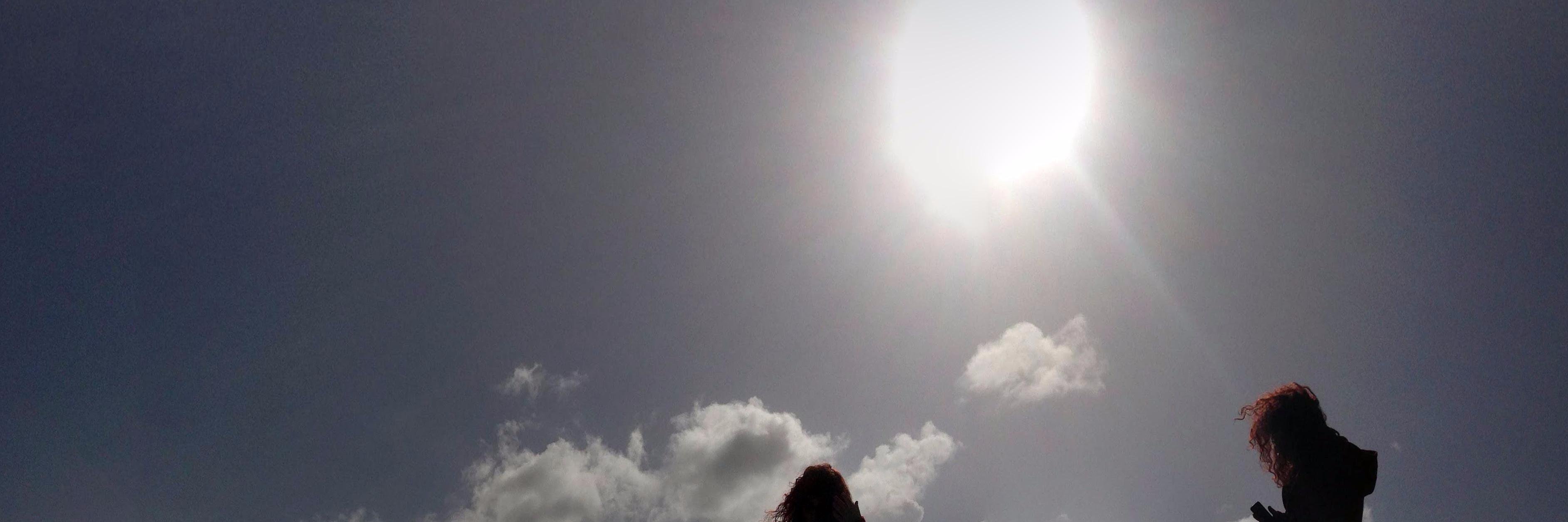 o Tozé já está completamente chipado banner