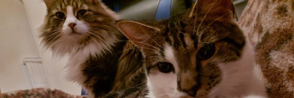 zadykuro Profile Banner