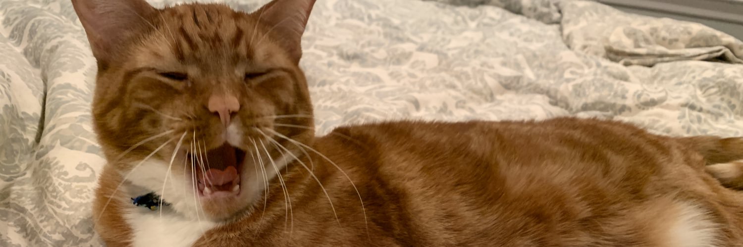MrBeitzel's profile banner image