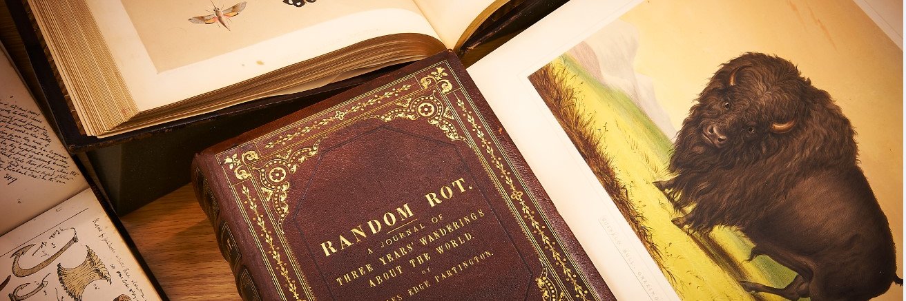 British Museum Library banner