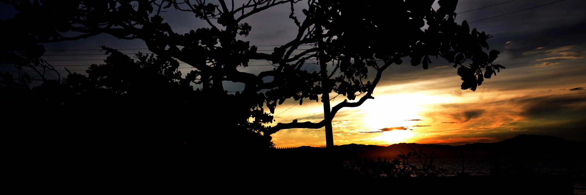miluyorio's profile banner image