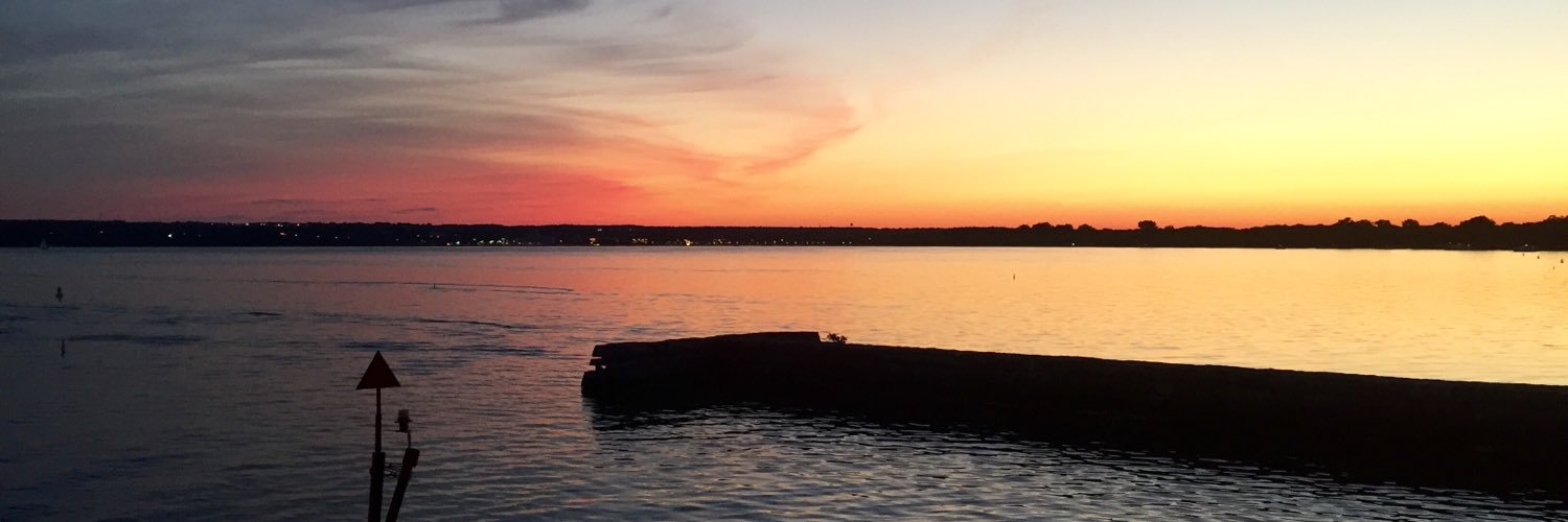 Amy Dobbertin banner