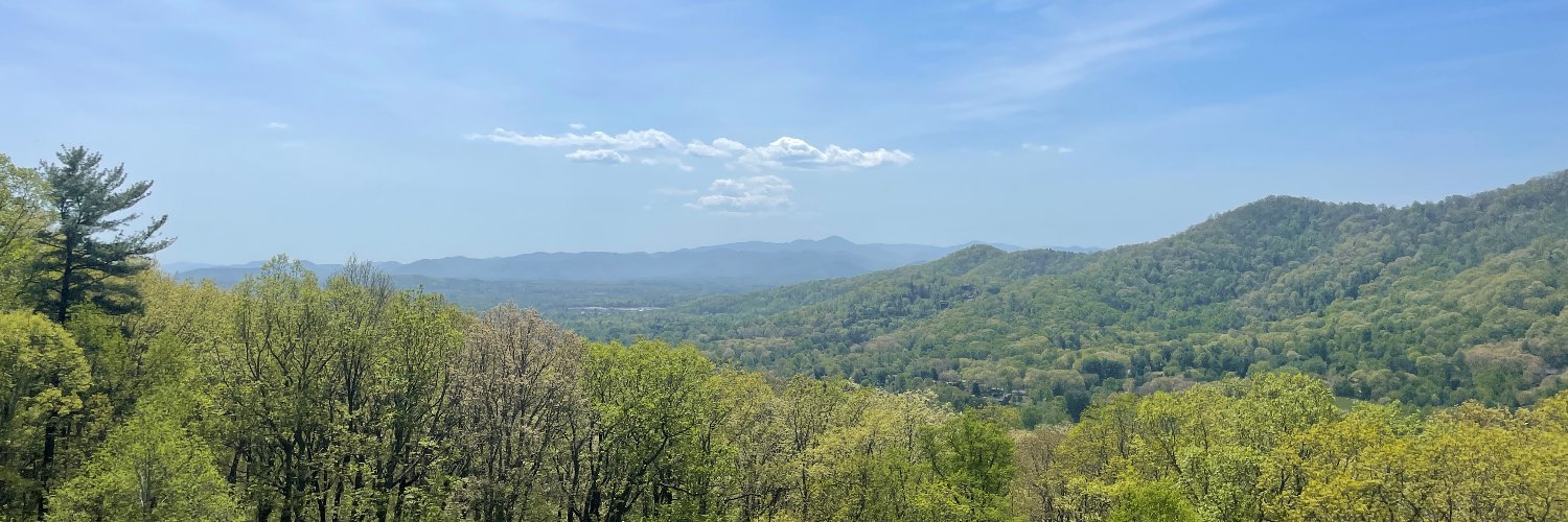 Gracee Mattiace banner