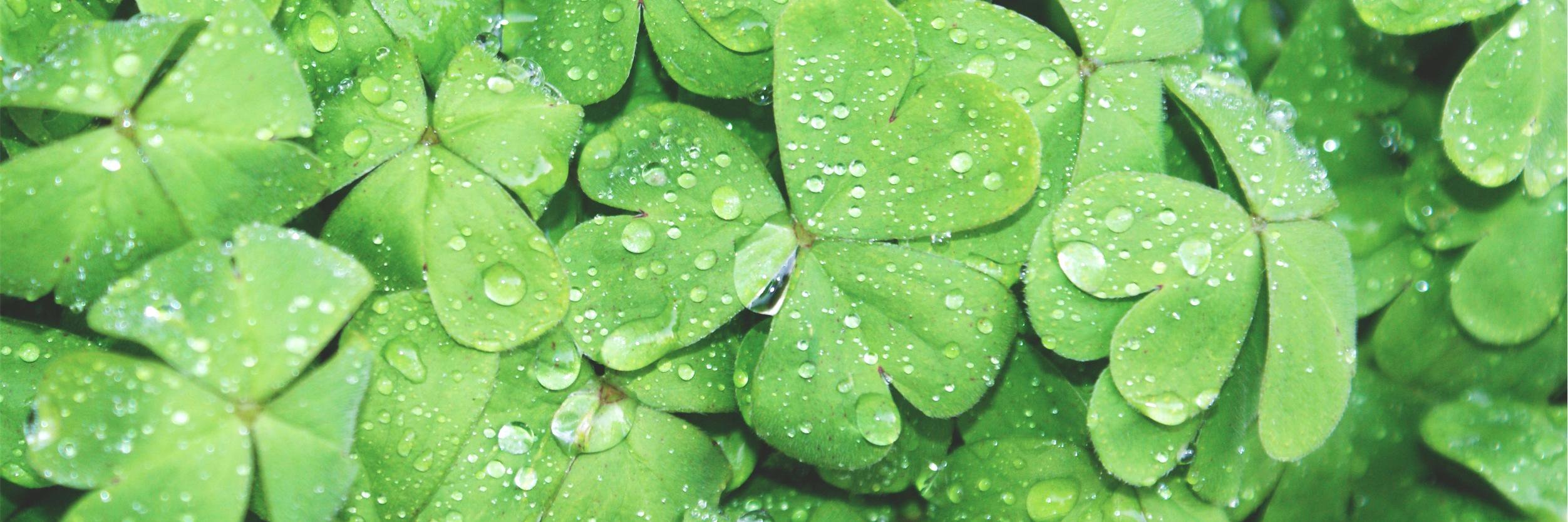 PyefinchComms's profile banner image