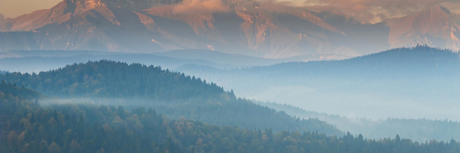ai_se's profile banner image
