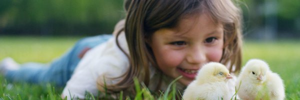 ChickenGuards Profile Banner