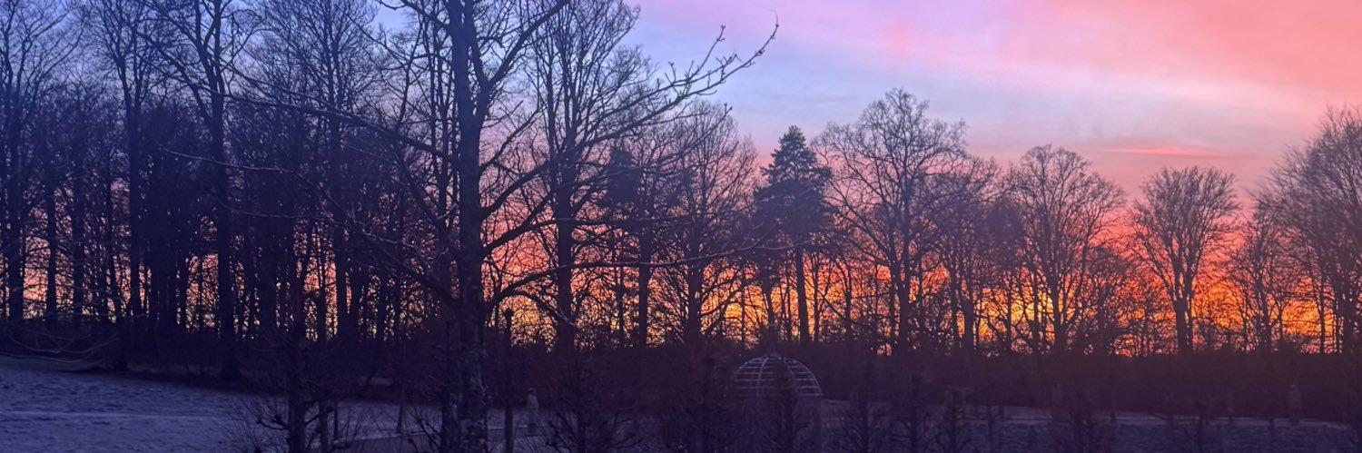 ✮ Velveeta ✮ banner