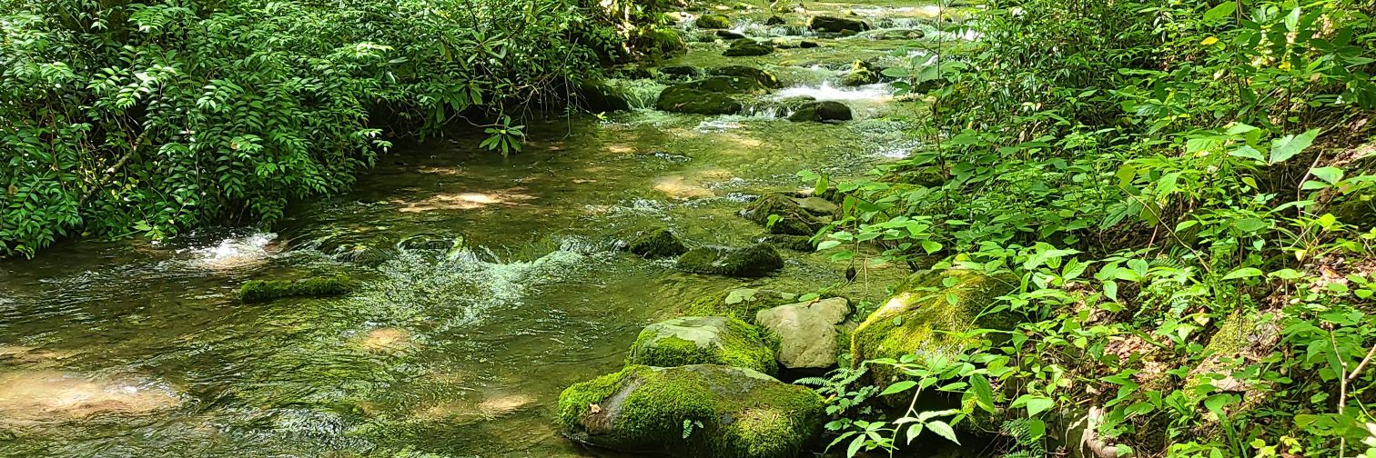 Kayla_Shell12's profile banner image