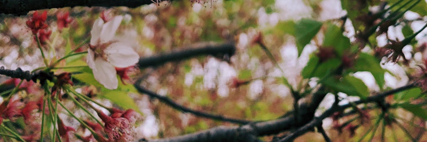 FeefsHaniff's profile banner image