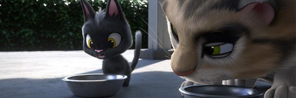 dinosaurr1der's profile banner image