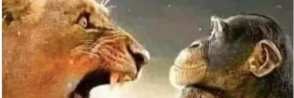 AlainKendewa's profile banner image