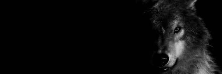 HalukCimen's profile banner image