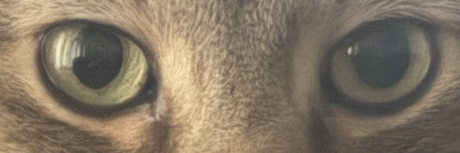 ScreamT__'s profile banner image