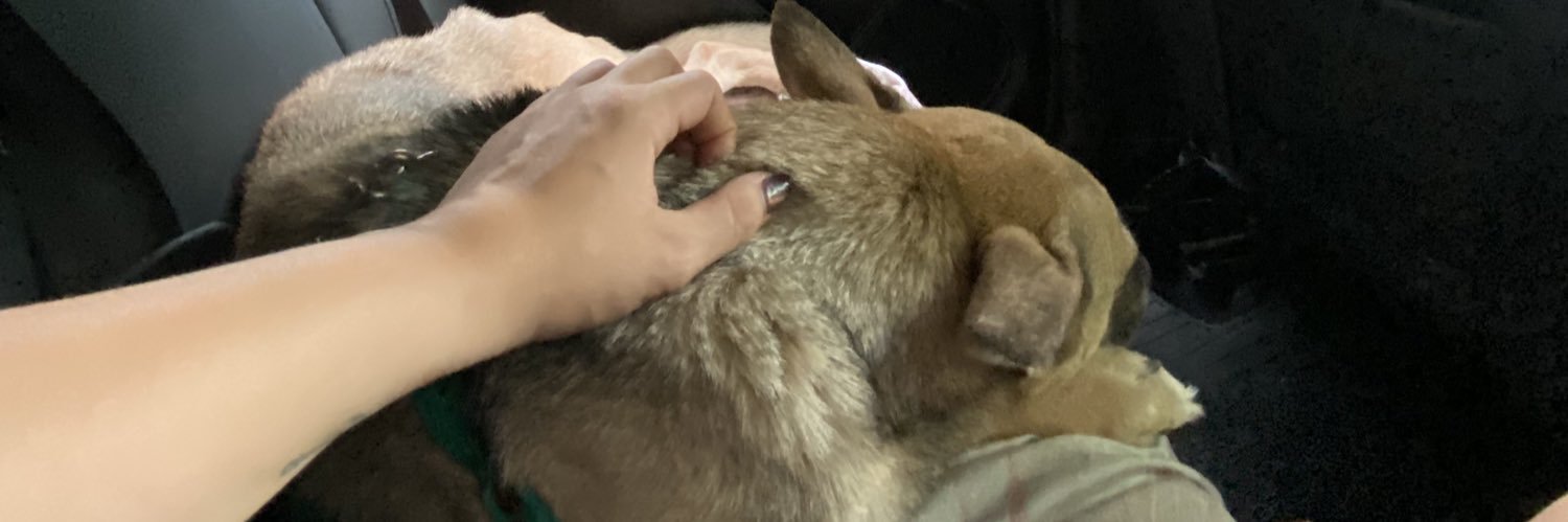 kmiminutillo's profile banner image