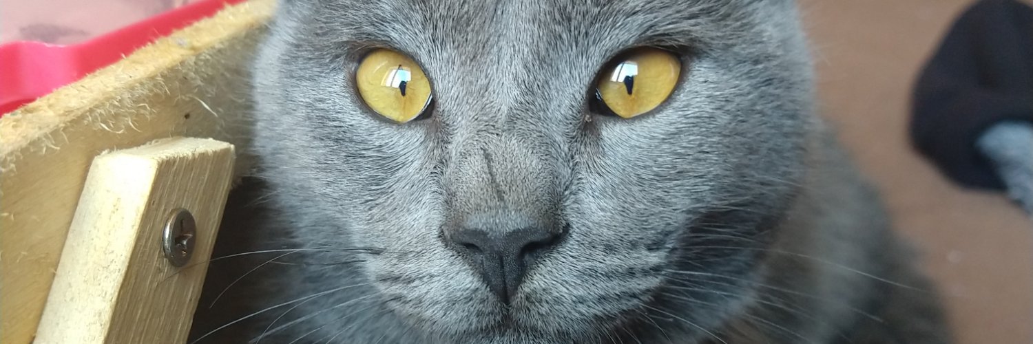 KatiaRomm's profile banner image