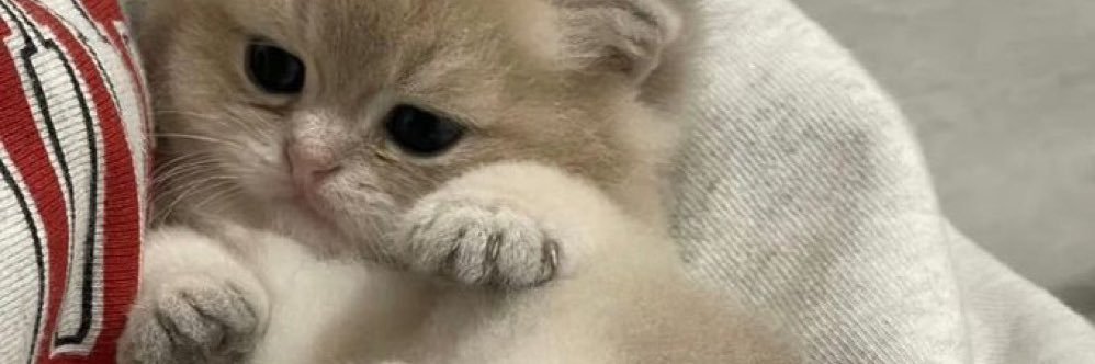 ByRauXd banner