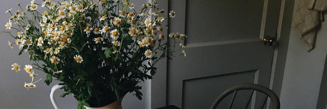 notyourkimchi's profile banner image