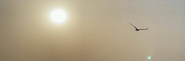 hf1203's profile banner image