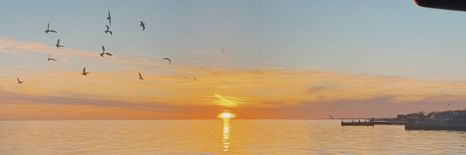 lexigonzalez_'s profile banner image