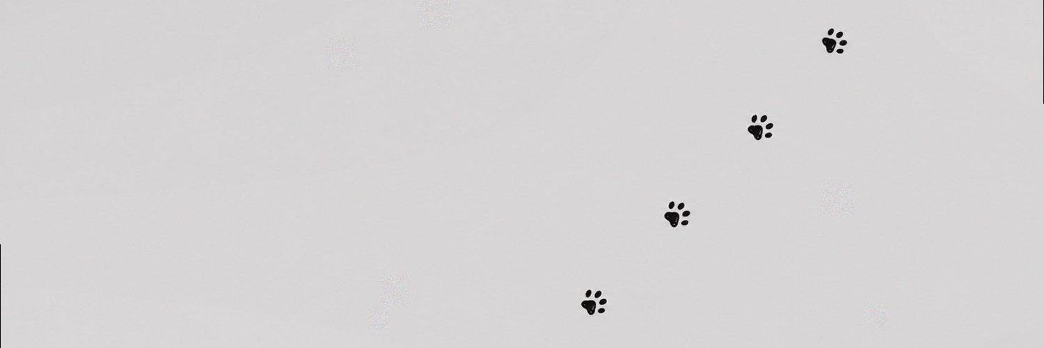 veekitty__a's profile banner image