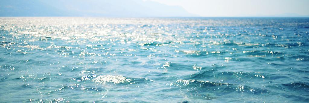 emily_dawe's profile banner image