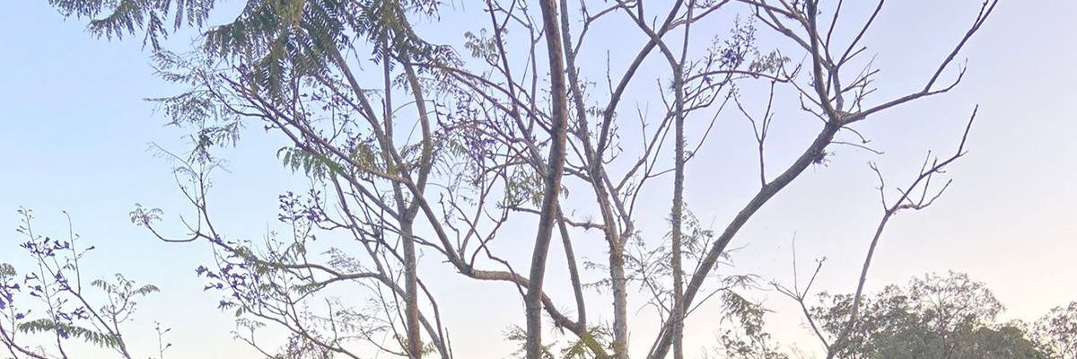 anabiasfa's profile banner image