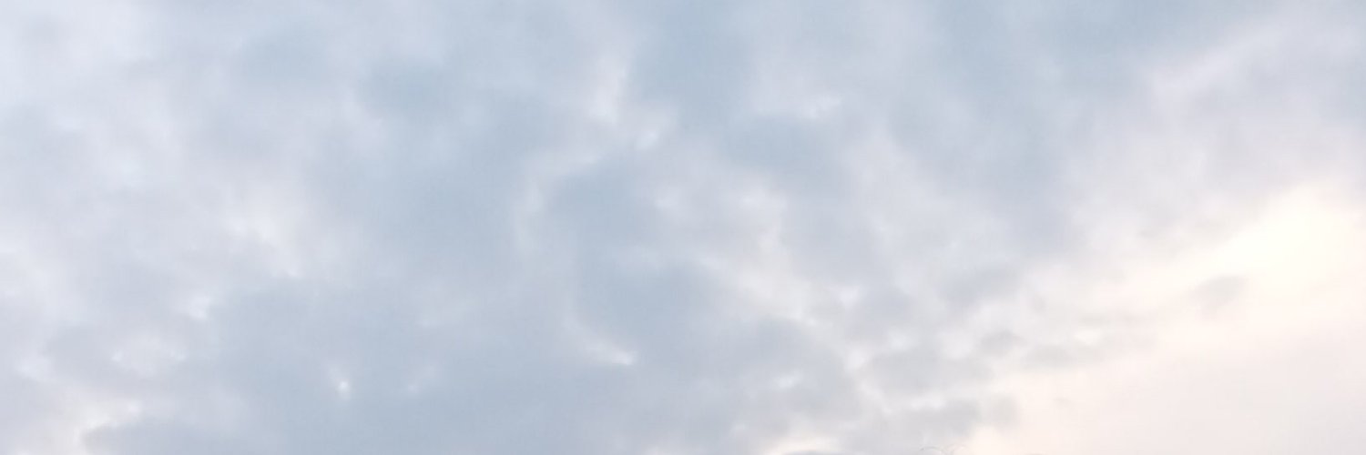 jujumlb's profile banner image