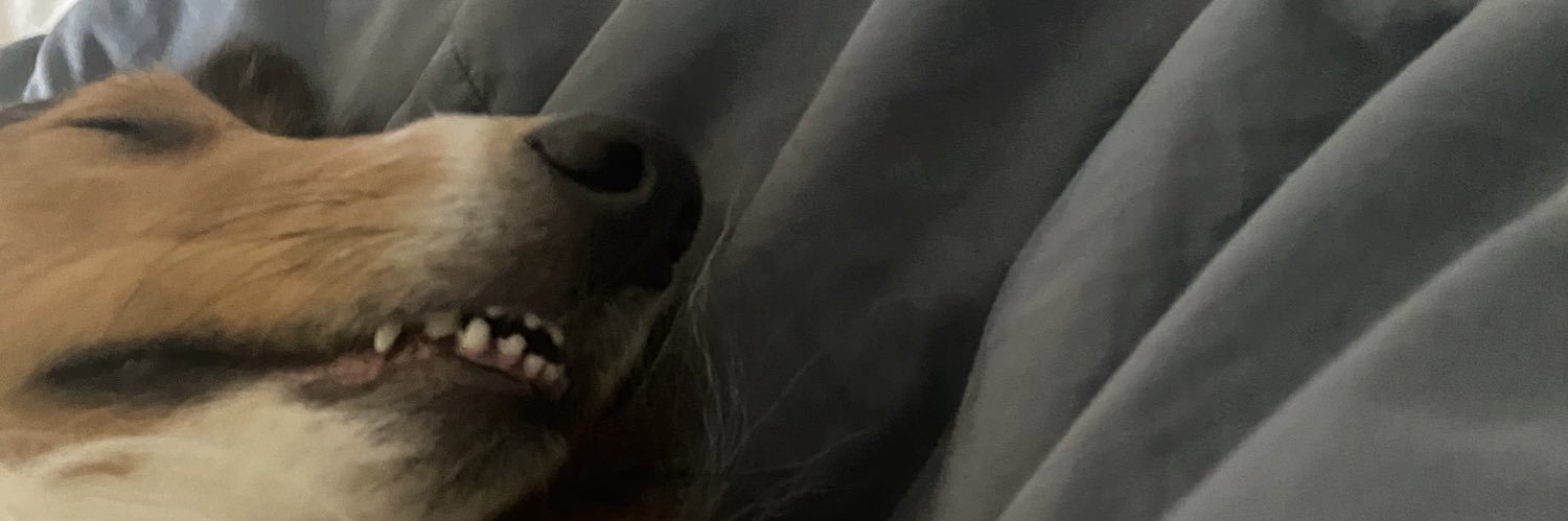 ALEX PRATT banner
