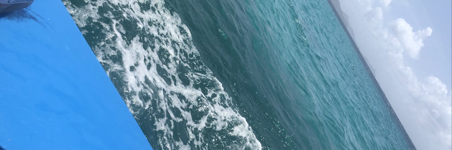 _Cryss__'s profile banner image