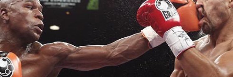 Miami Boxing banner