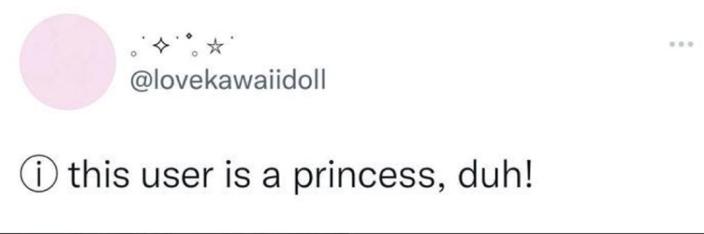 raylavishh's profile banner image