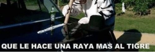 Harta ✨ banner