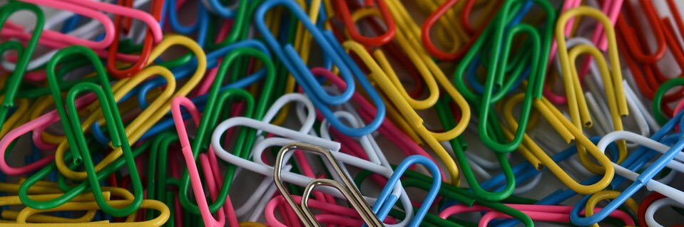 Daniela Vairo banner