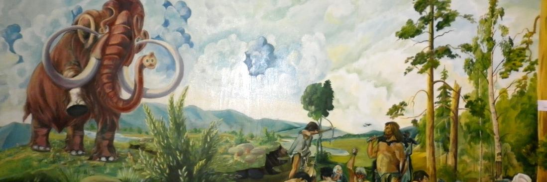 af_museum's profile banner image