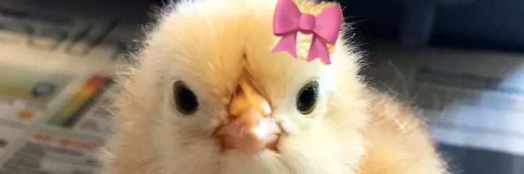 busetnga's profile banner image