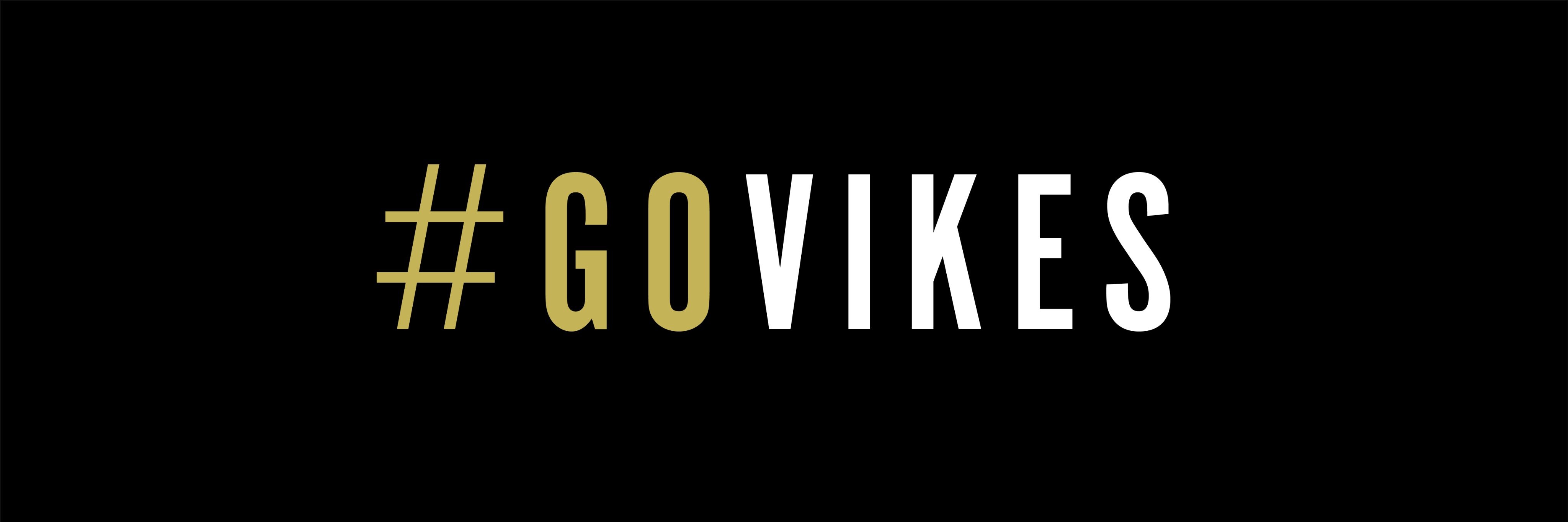 jaspervikes's profile banner image