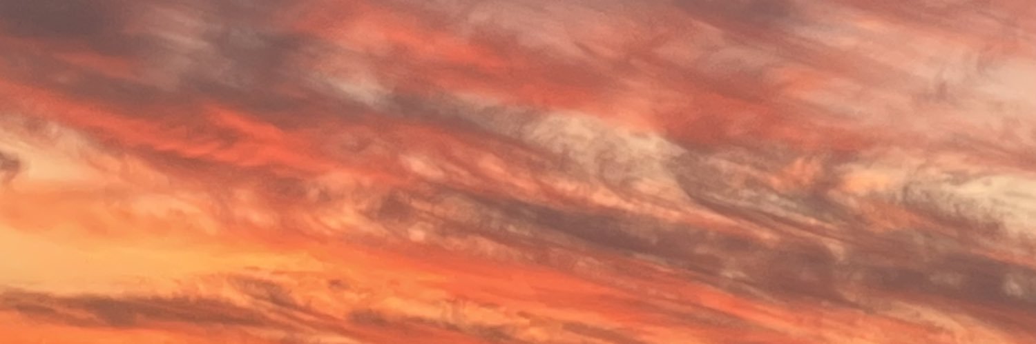 Meg__Smith__'s profile banner image