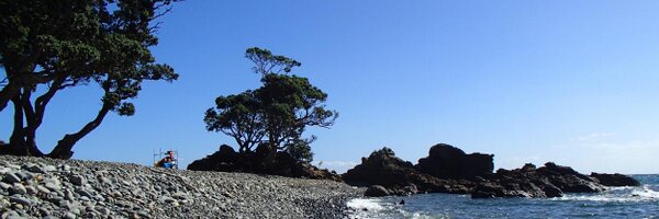 WinterlessNorth Profile Banner