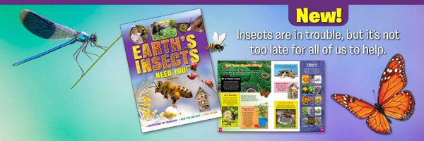 RubyTuesdayBks Profile Banner