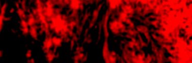 lucsnrd's profile banner image