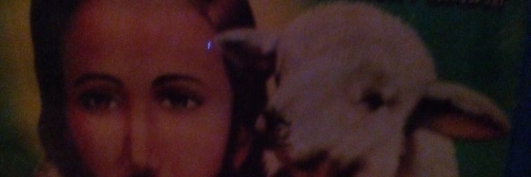 imwongs's profile banner image