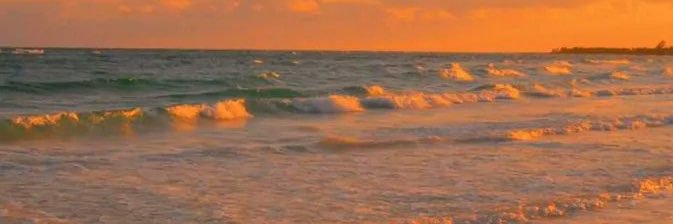mello_lice's profile banner image